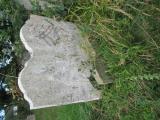 image of grave number 528656